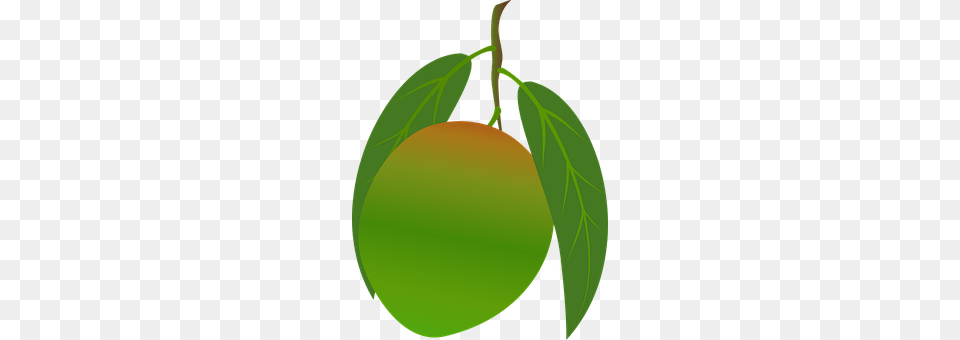 Mango Food, Fruit, Leaf, Plant Png Image