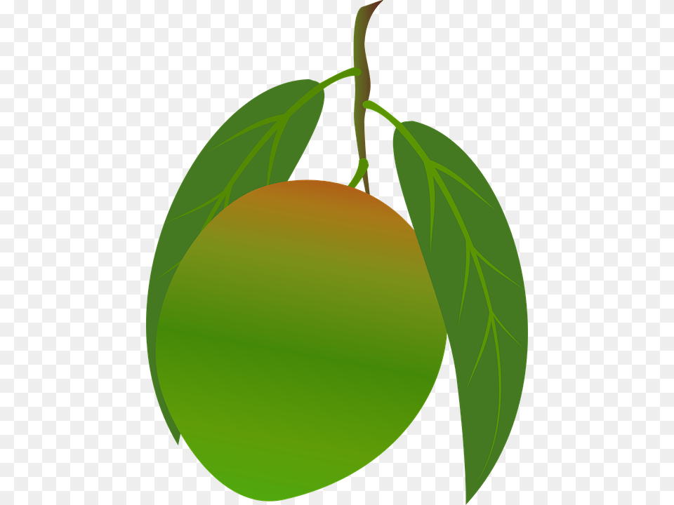 Mango, Food, Fruit, Leaf, Plant Png Image