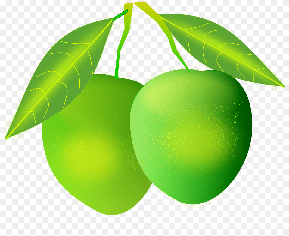 Mango, Food, Fruit, Plant, Produce Png Image