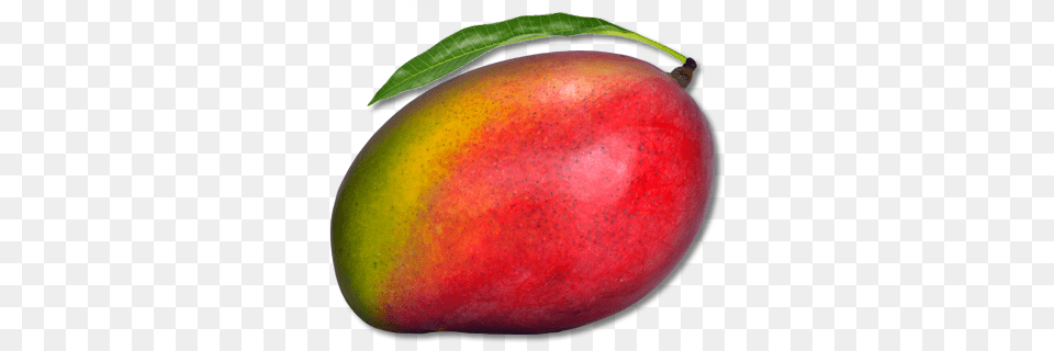 Mango, Food, Fruit, Plant, Produce Free Png Download