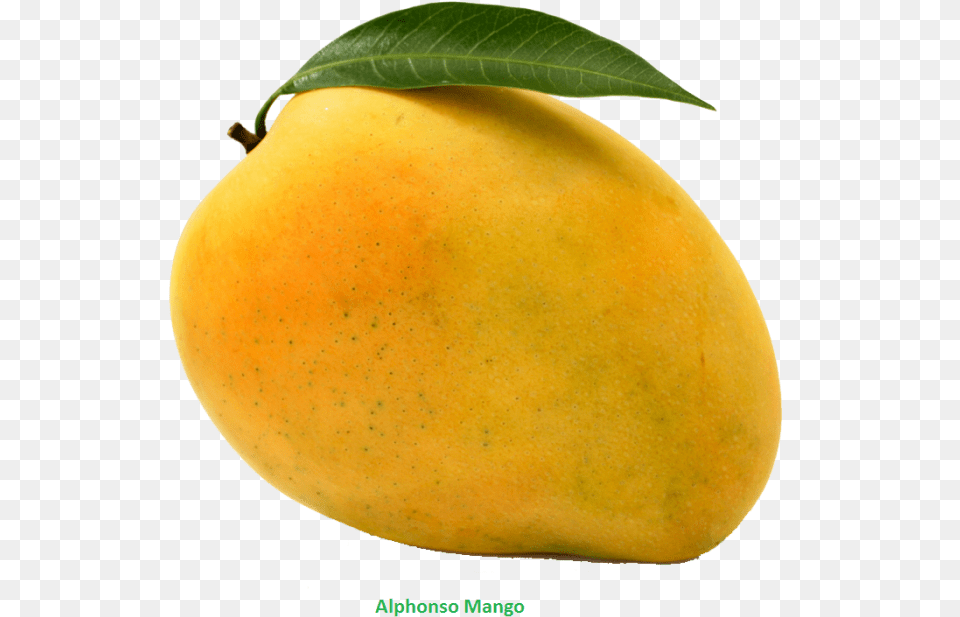 Mango, Food, Fruit, Plant, Produce Free Png