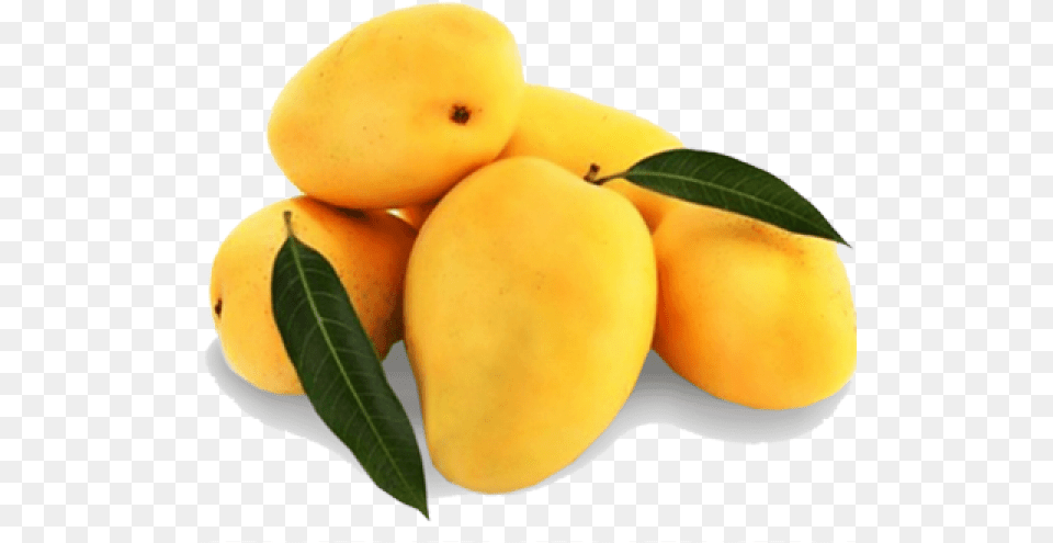 Mango Alphonso Pakistani Mangoes, Food, Fruit, Plant, Produce Free Png Download