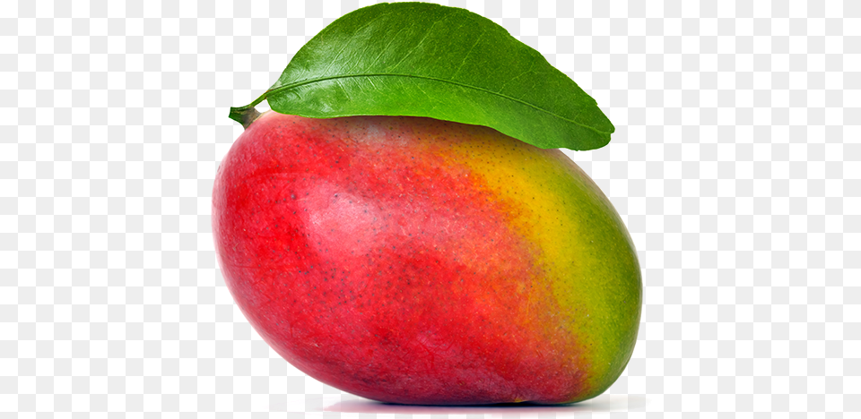 Mango Apple Smoothie Fruit Food Mango 800 Mango, Plant, Produce Free Png Download