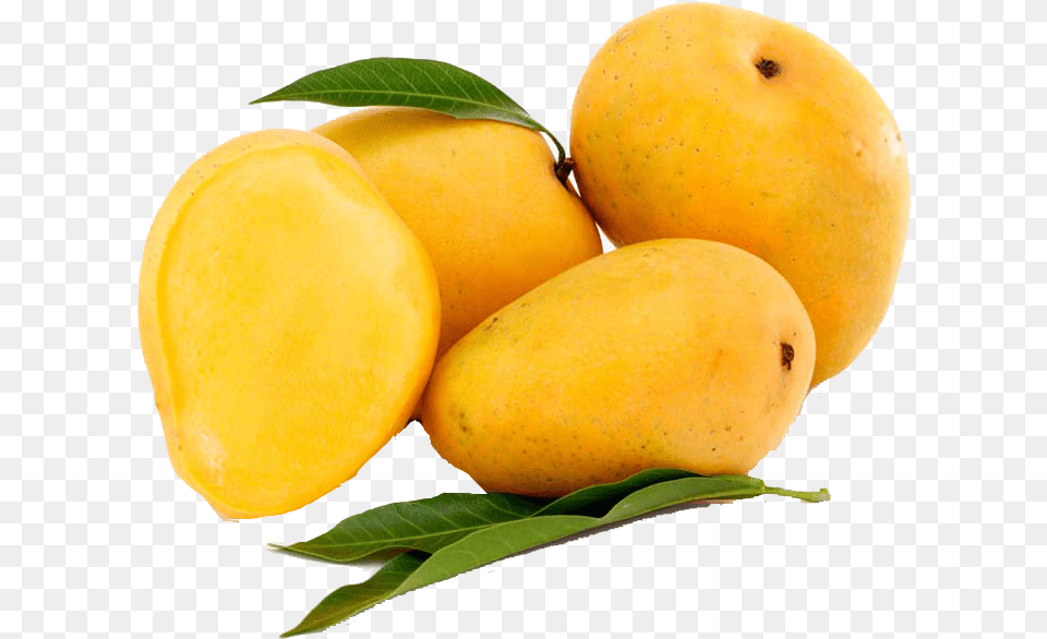 Mango Banginapalli Mangoes, Food, Fruit, Plant, Produce Free Transparent Png