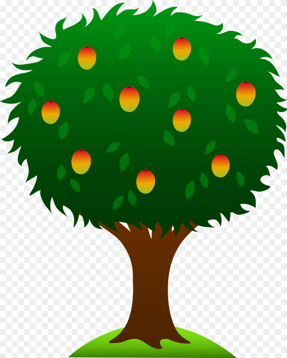 Mango Clipart, Green, Plant, Tree, Vegetation Free Transparent Png