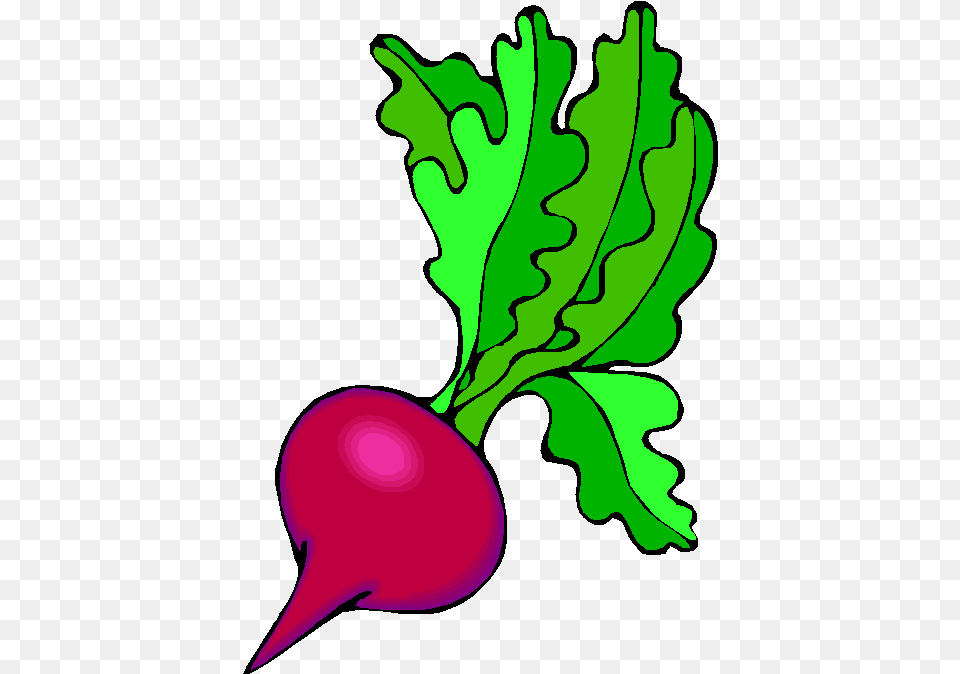 Mango Clipart Buah Buahan Salad Vegetables Drawing, Food, Produce, Plant, Radish Free Png