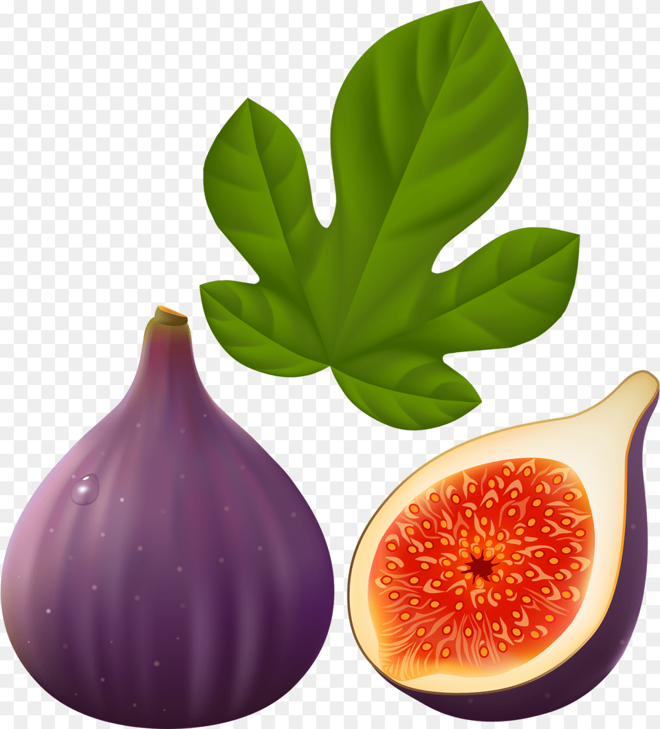 Mango Clipart Common Fruit Fig Clipart, Food, Plant, Produce Png Image