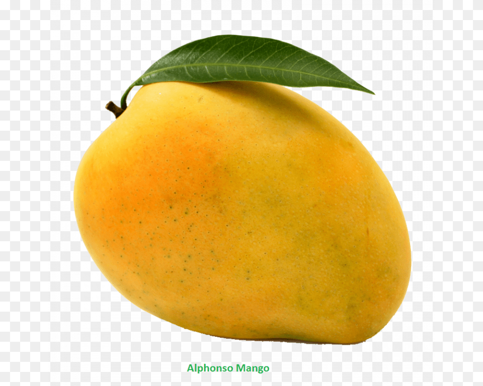 Mango Clipart Download Mango Free Photo Images Mango, Food, Fruit, Plant, Produce Png Image