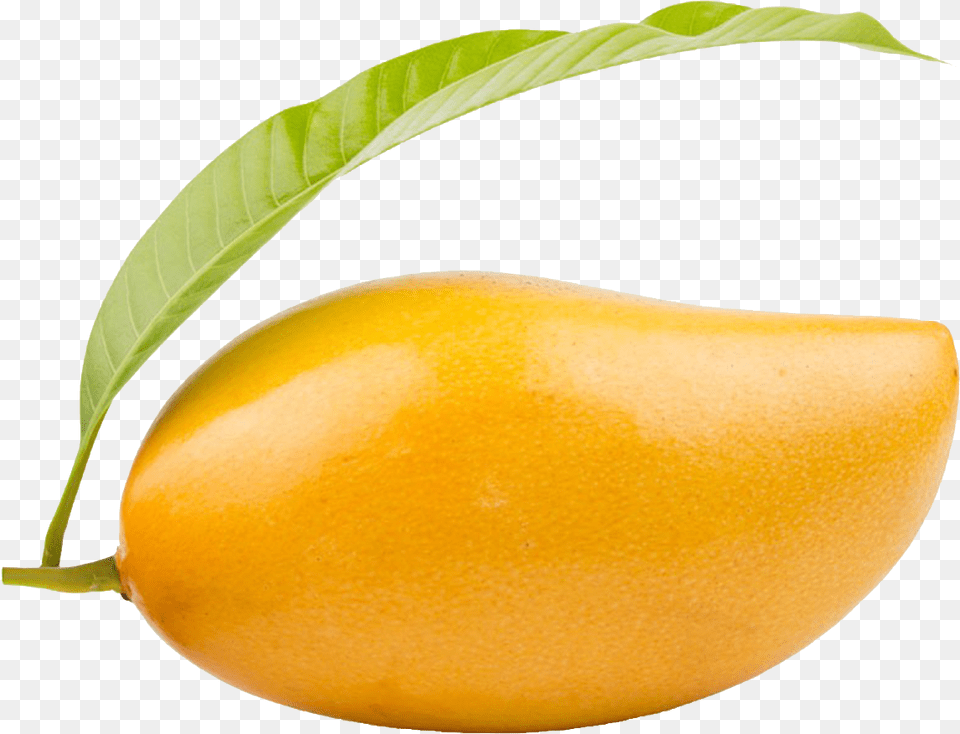 Mango Clipart Of Mango, Food, Fruit, Plant, Produce Png Image
