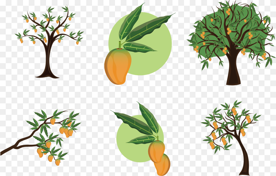 Mango Clipart Stem Mango Tree Clipart Black And White, Food, Fruit, Leaf, Plant Free Png