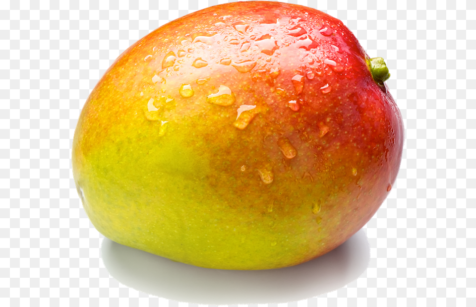 Mango Clipart Transparent Background Mango, Food, Fruit, Plant, Produce Png Image