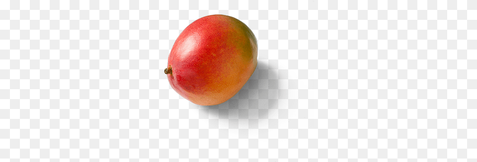 Mango Did Mangos Originate, Produce, Food, Fruit, Plant Free Transparent Png