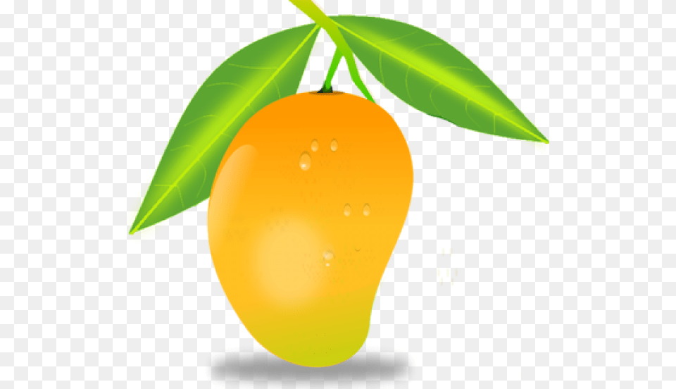 Mango Download Mango, Food, Fruit, Plant, Produce Free Transparent Png