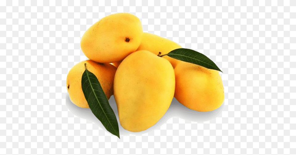 Mango Arts, Food, Fruit, Plant, Produce Free Png