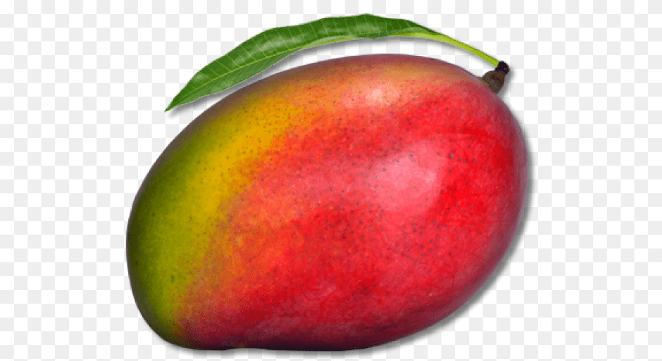 Mango Free Download 13 Red Mango, Food, Fruit, Plant, Produce Png Image
