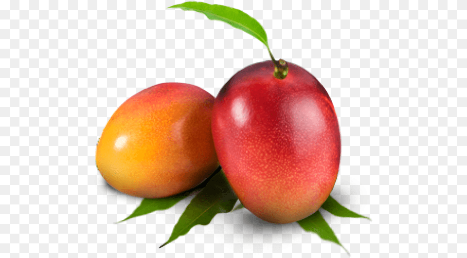 Mango Download Raspuri, Food, Fruit, Plant, Produce Free Transparent Png
