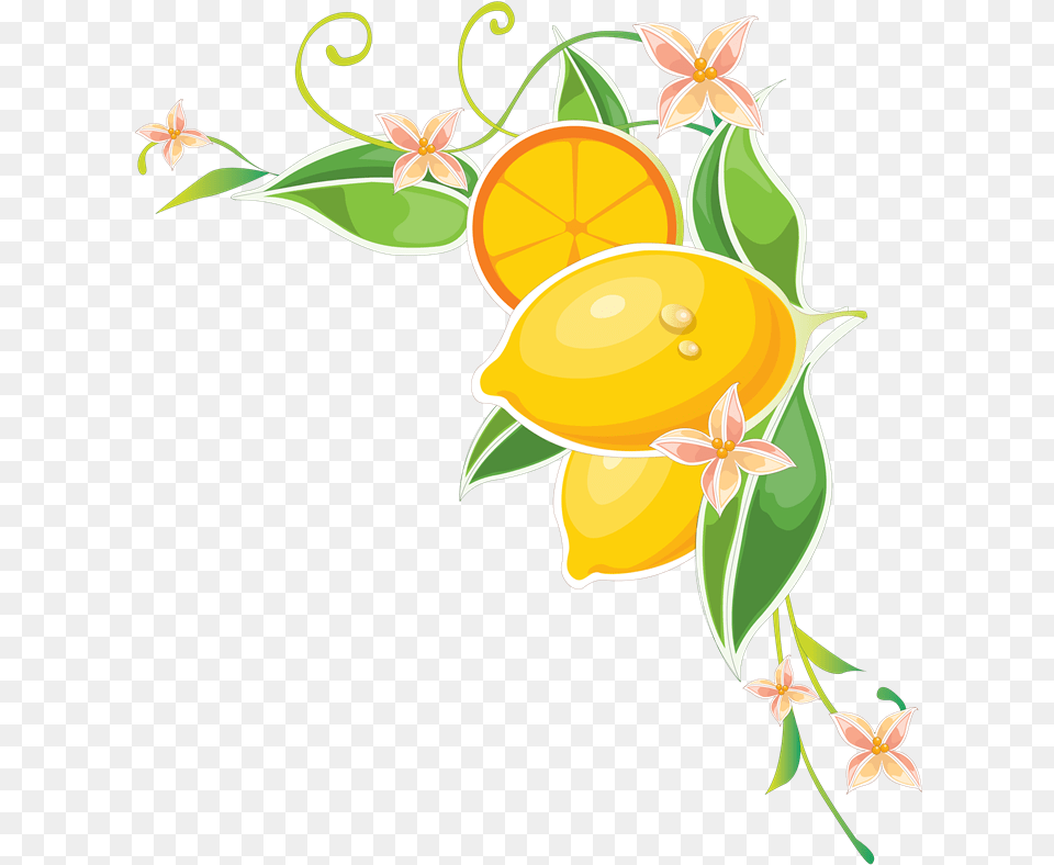 Mango Fruit Border Design, Produce, Citrus Fruit, Plant, Food Free Png Download