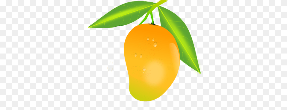 Mango Fruits Drawing Food Mango Hd, Fruit, Leaf, Produce, Plant Png