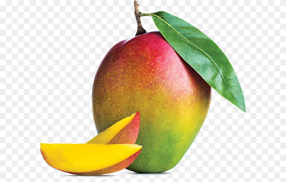 Mango Hd Background, Food, Fruit, Plant, Produce Free Transparent Png