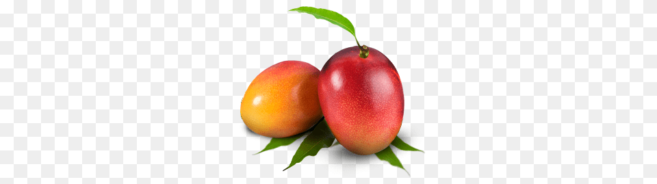 Mango Images, Food, Fruit, Plant, Produce Png