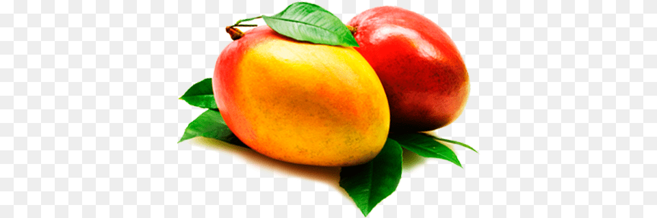 Mango Mango Fruta, Food, Fruit, Plant, Produce Png