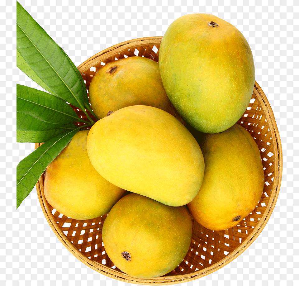 Mango Natural, Food, Fruit, Plant, Produce Free Png Download