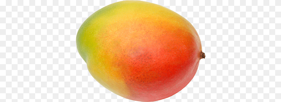 Mango Pop 350 Mango, Food, Fruit, Plant, Produce Png