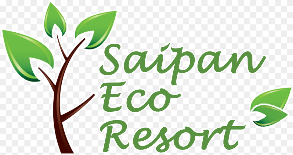 Mango Resort Is The Only Eco Friendly Resort, Green, Herbal, Herbs, Leaf Png Image