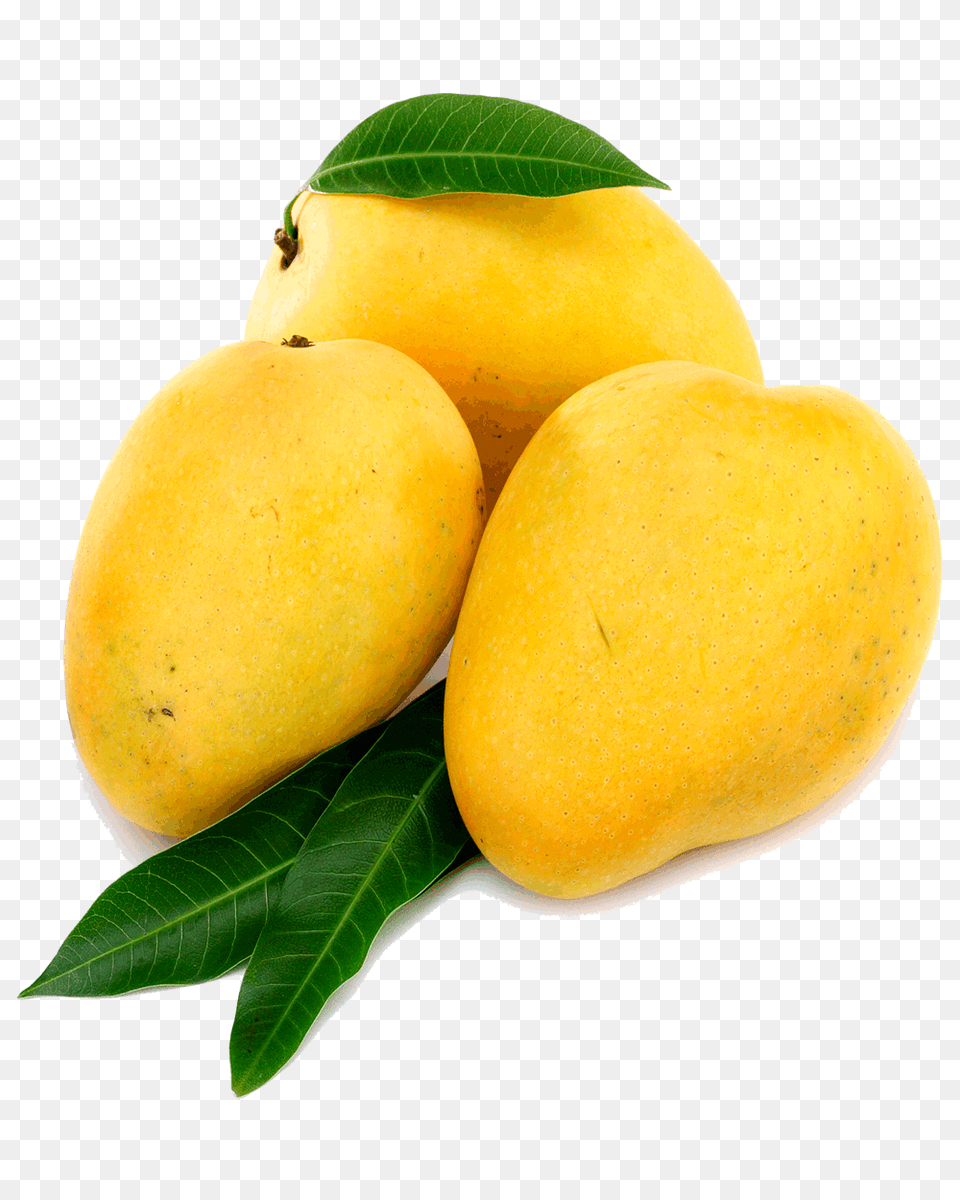 Mango Food, Fruit, Plant, Produce Free Transparent Png