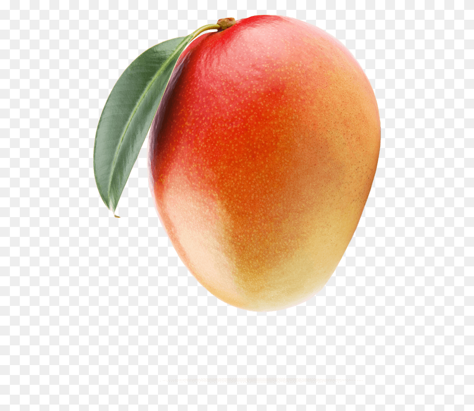 Mango Image With No Mango, Produce, Food, Fruit, Plant Free Transparent Png