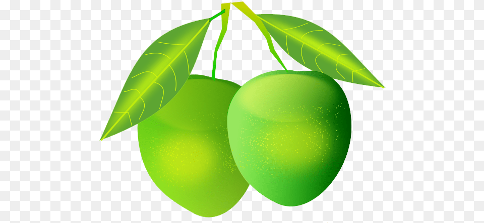 Mango Images All Green Mangoes, Food, Fruit, Plant, Produce Free Transparent Png