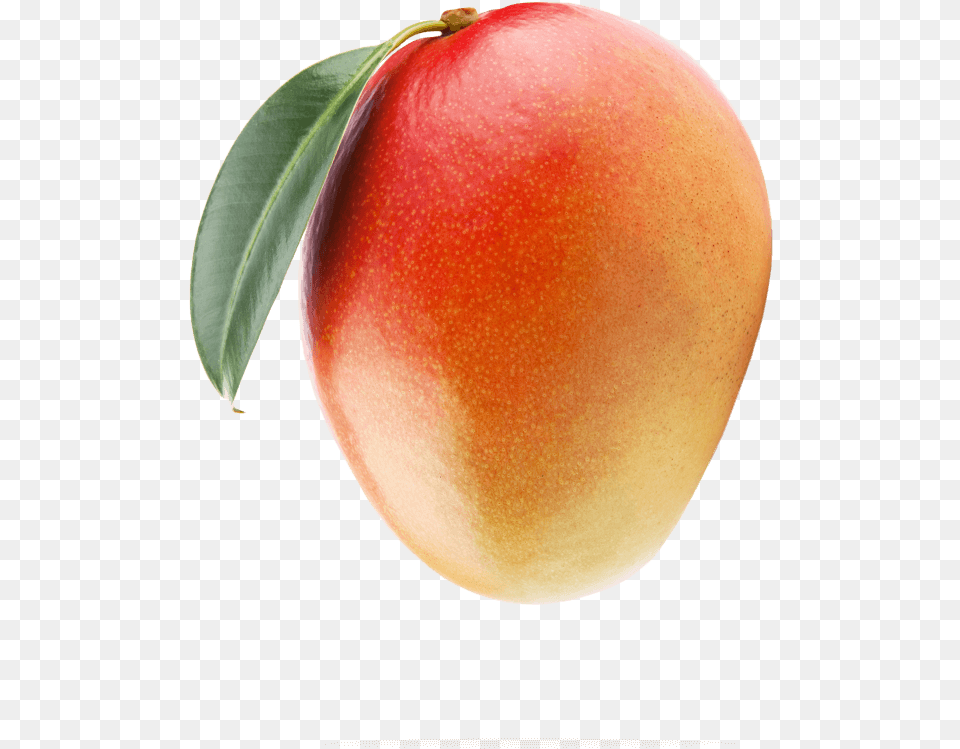 Mango Transparent Portable Network Graphics, Food, Fruit, Plant, Produce Free Png