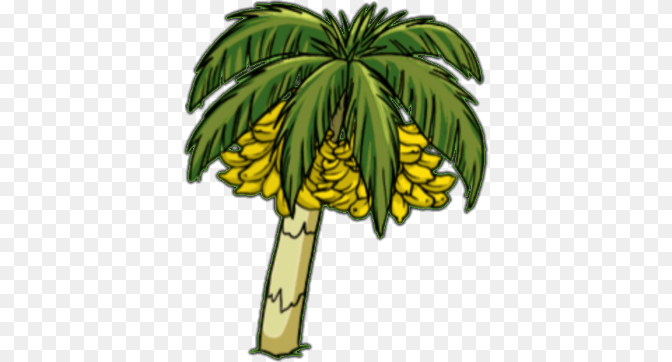 Mango Trees Clipart Download Palm Tree With Bananas, Banana, Food, Fruit, Palm Tree Free Png