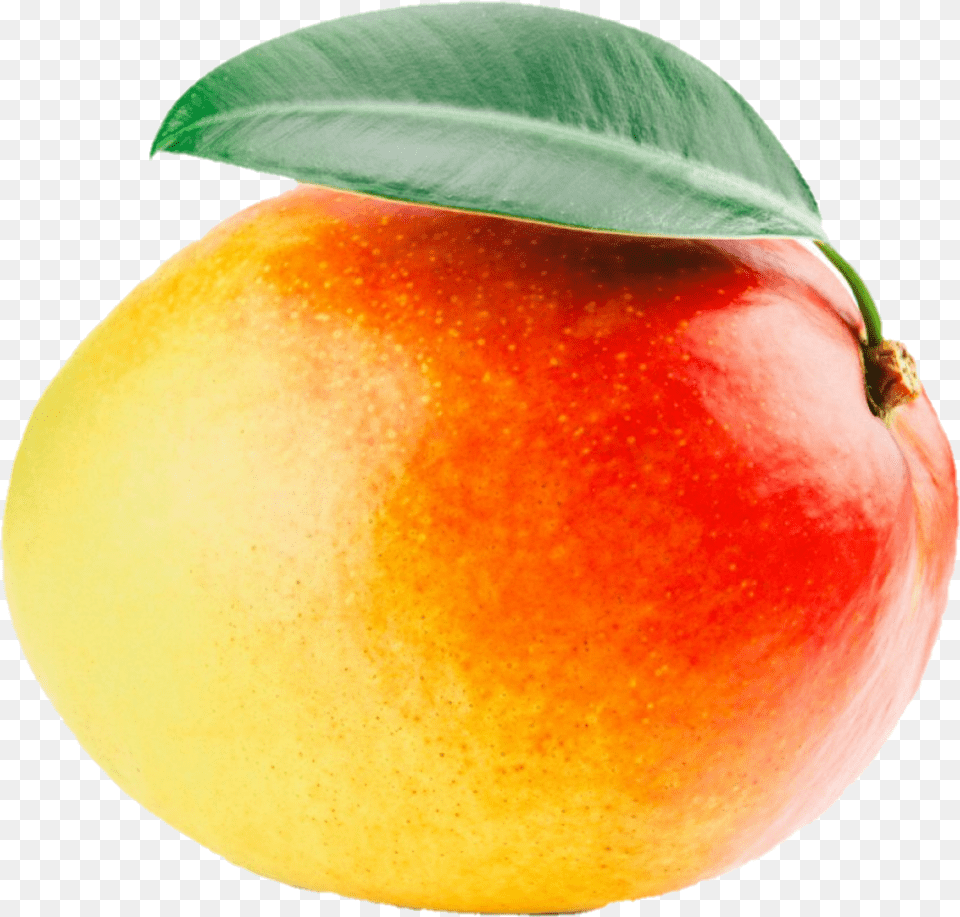 Mango Yellow Orange Fruit Niche Aesthetic Mango Aesthetic, Food, Plant, Produce, Apple Free Png Download