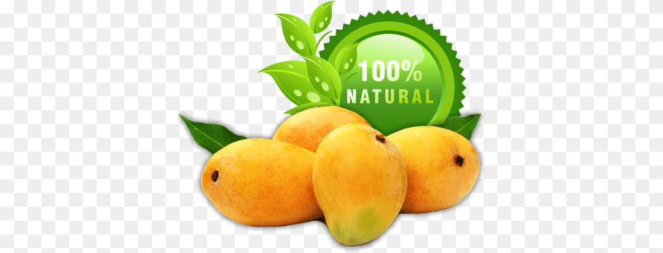 Mangoes Alphonso Mango, Food, Fruit, Plant, Produce Free Png Download