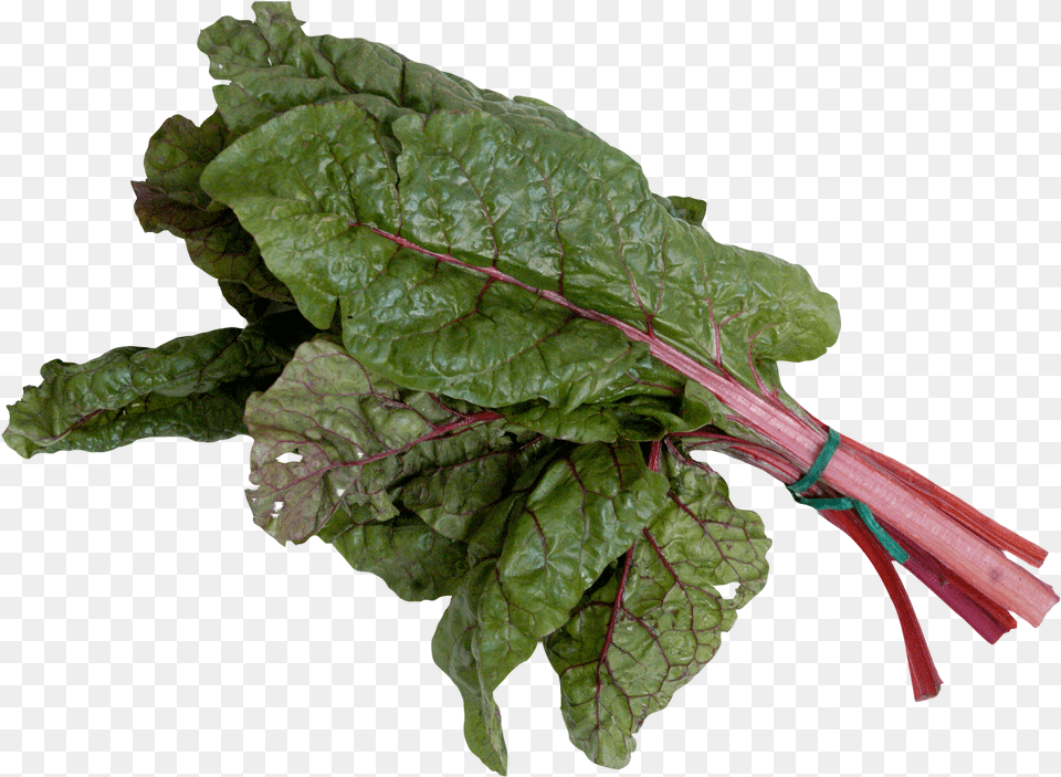 Mangold Or Swiss Chard Mangold, Food, Plant, Produce, Leafy Green Vegetable Png Image