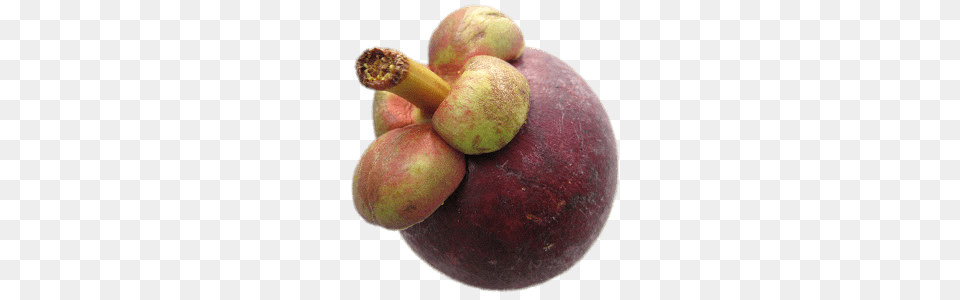 Mangosteen, Food, Fruit, Plant, Produce Free Png