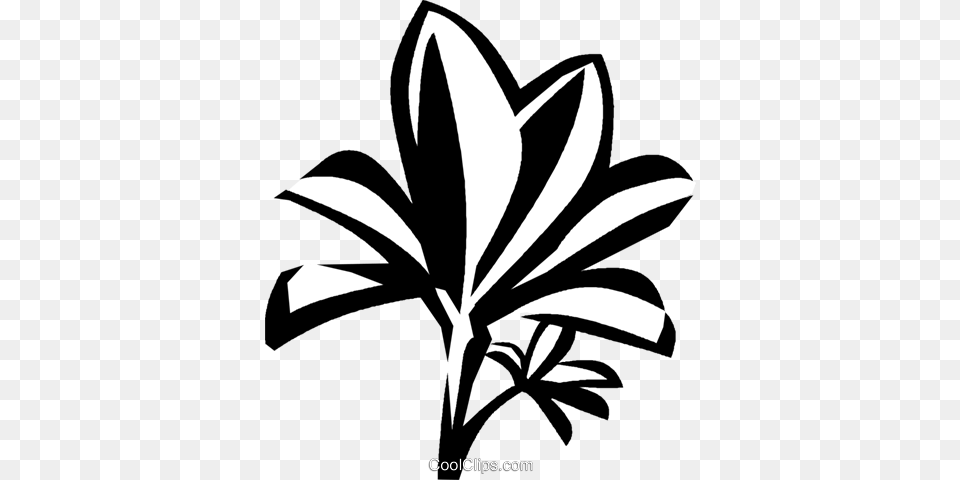 Mangrove Royalty Vector Clip Art Illustration, Stencil, Plant, Leaf, Flower Free Transparent Png