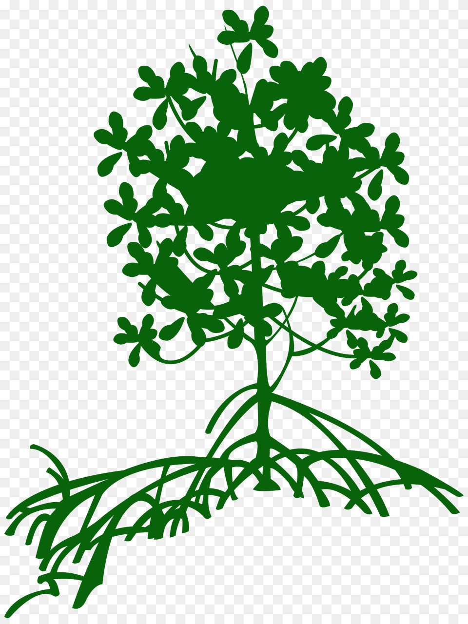 Mangrove Silhouette, Green, Tree, Plant, Art Free Transparent Png