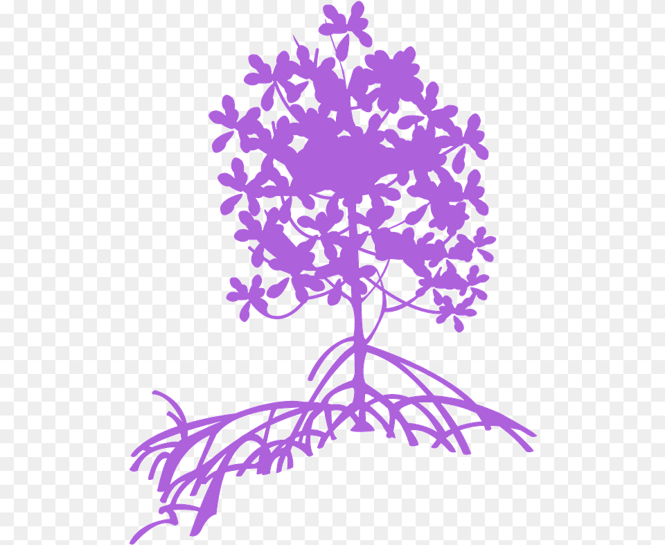 Mangrove Silhouette Mangrove, Purple, Art, Flower, Plant Png