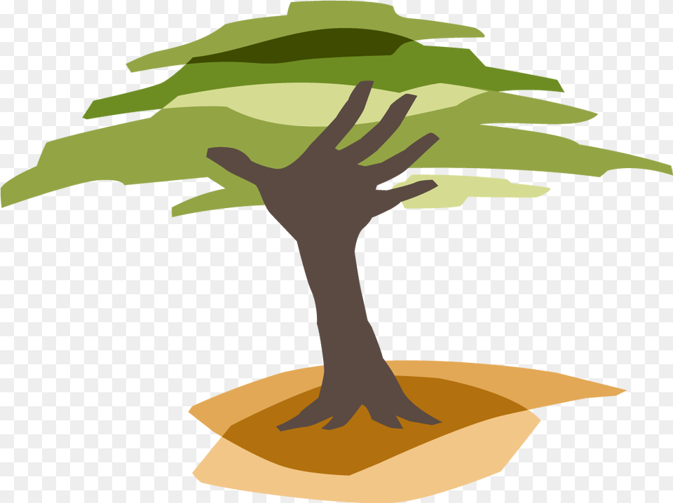 Mangrove Tree Clipart Freeuse Eden Reforestation Projects Logo, Potted Plant, Plant, Leaf, Person Free Transparent Png