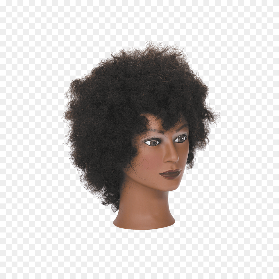 Manikin Michelle Manikin Wcurly Hair Black Hair Afro, Adult, Female, Person, Woman Png