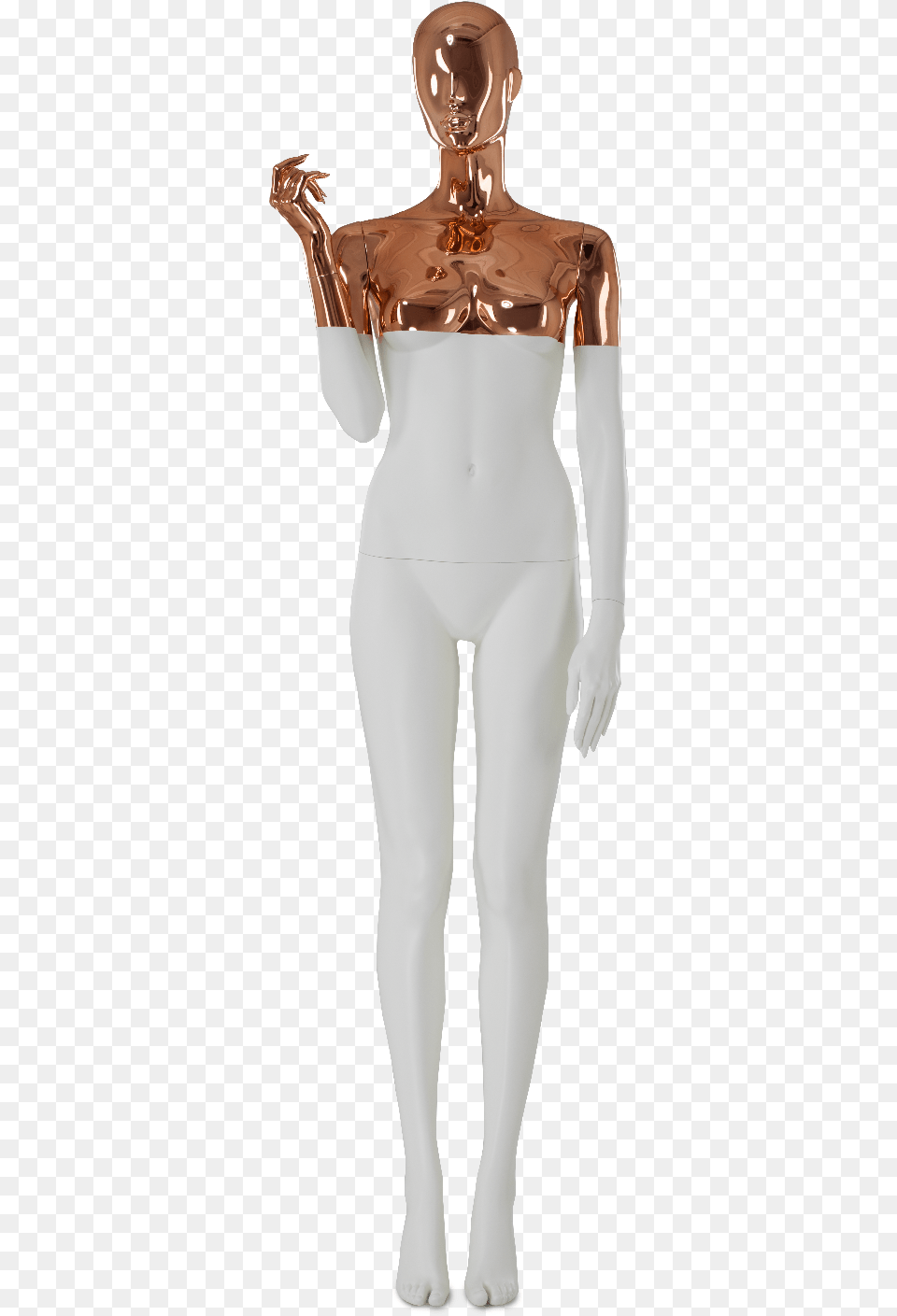 Maniquies Cobre, Adult, Female, Person, Woman Png
