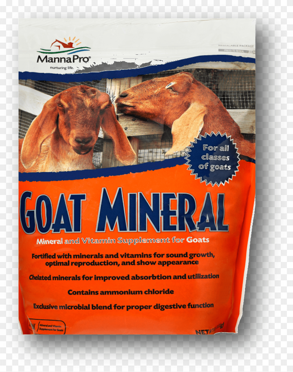 Manna Pro 00 9560 0317 Goat Mineral, Animal, Livestock, Mammal, Sheep Free Png Download