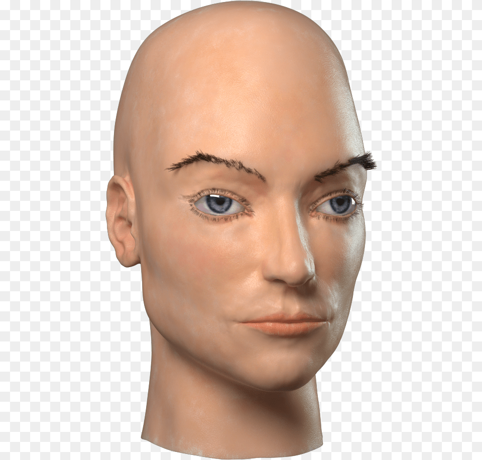 Mannequin, Adult, Face, Head, Male Free Png Download