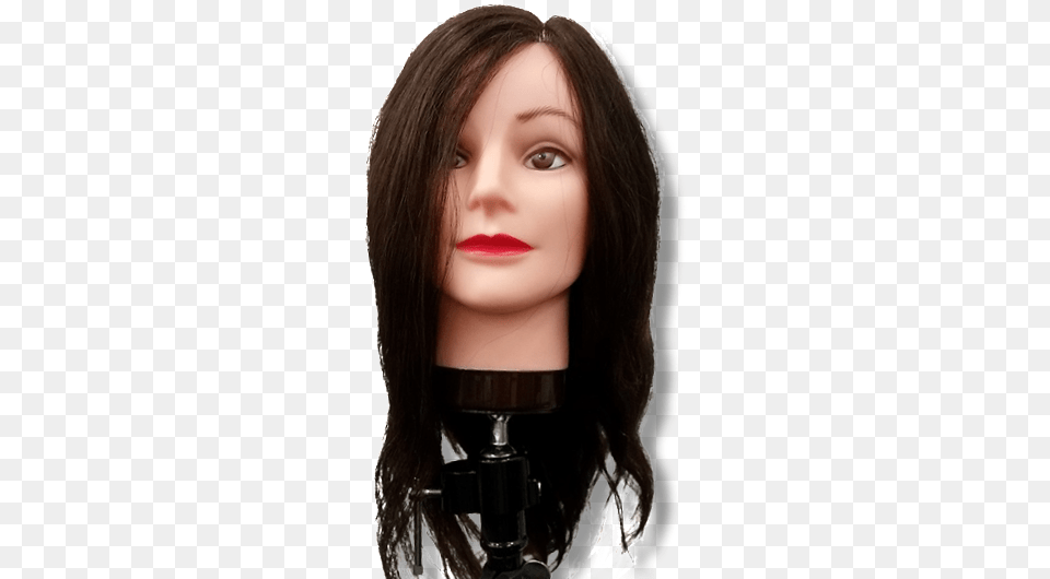 Mannequin, Adult, Female, Person, Woman Free Transparent Png