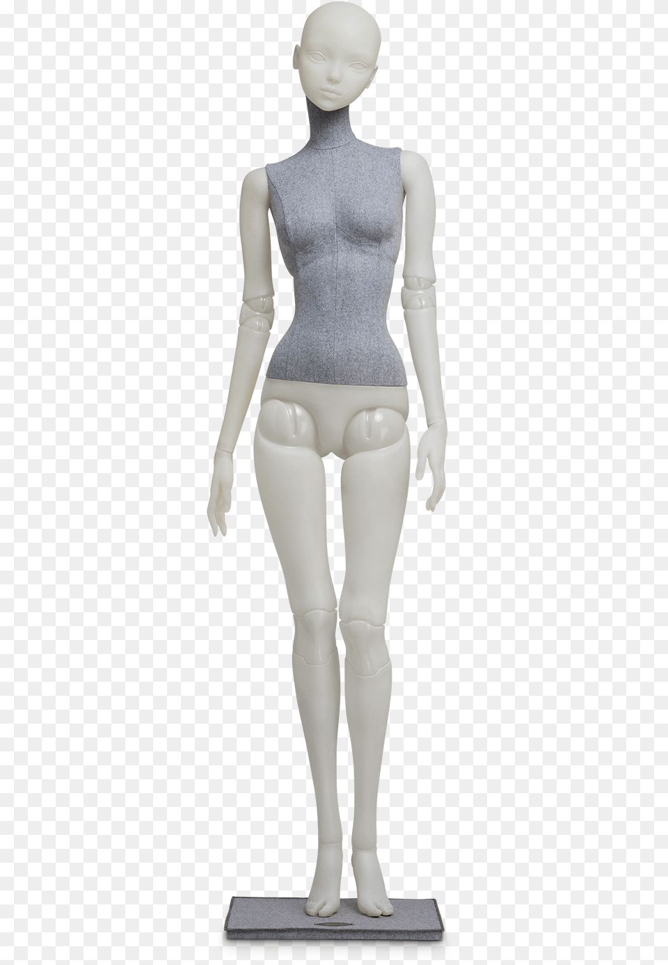 Mannequin, Adult, Female, Person, Woman Free Png