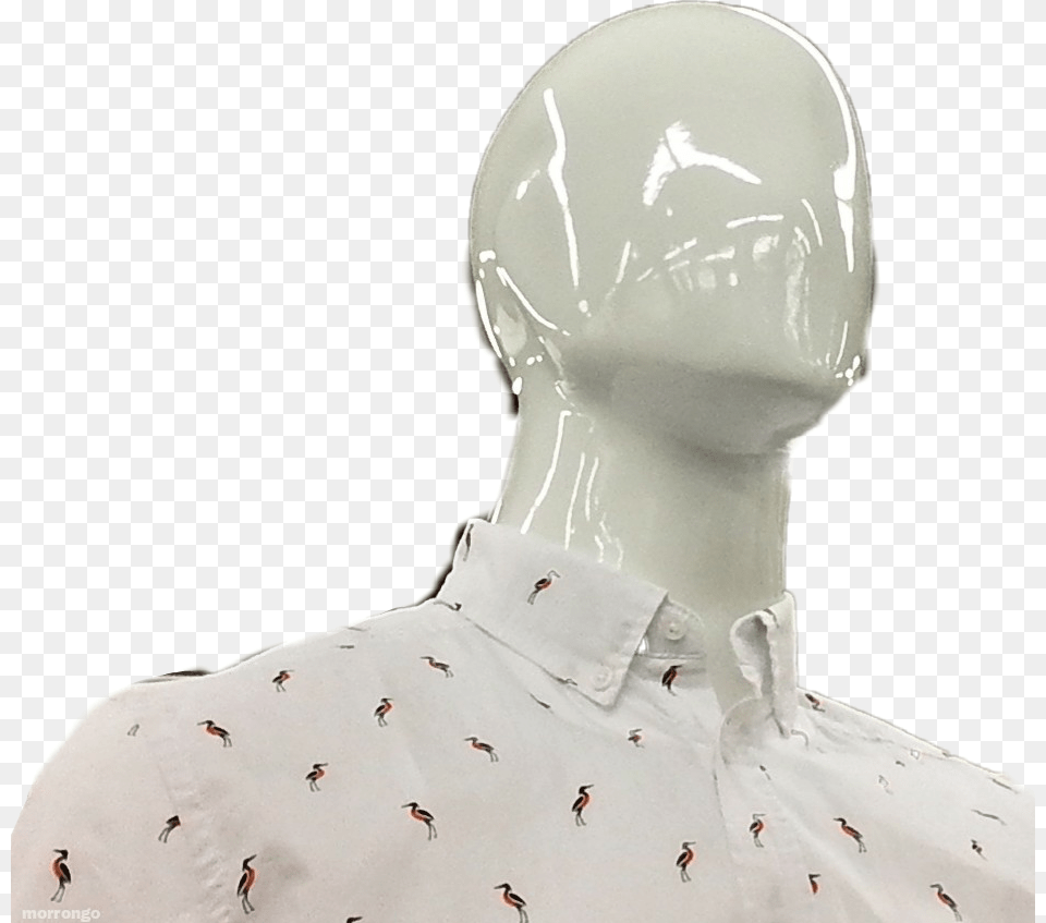 Mannequin Faceless Mannequin, Clothing, Blouse, Animal, Bird Png