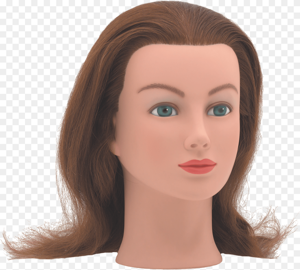 Mannequin Head Mannequin, Adult, Female, Person, Woman Free Png Download