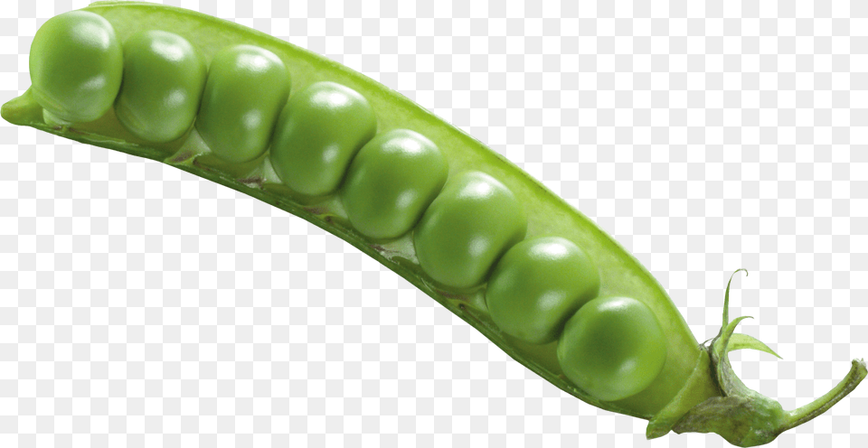 Manns Snow Peas Bag 6 Oz Green Bean No Background, Food, Pea, Plant, Produce Png Image